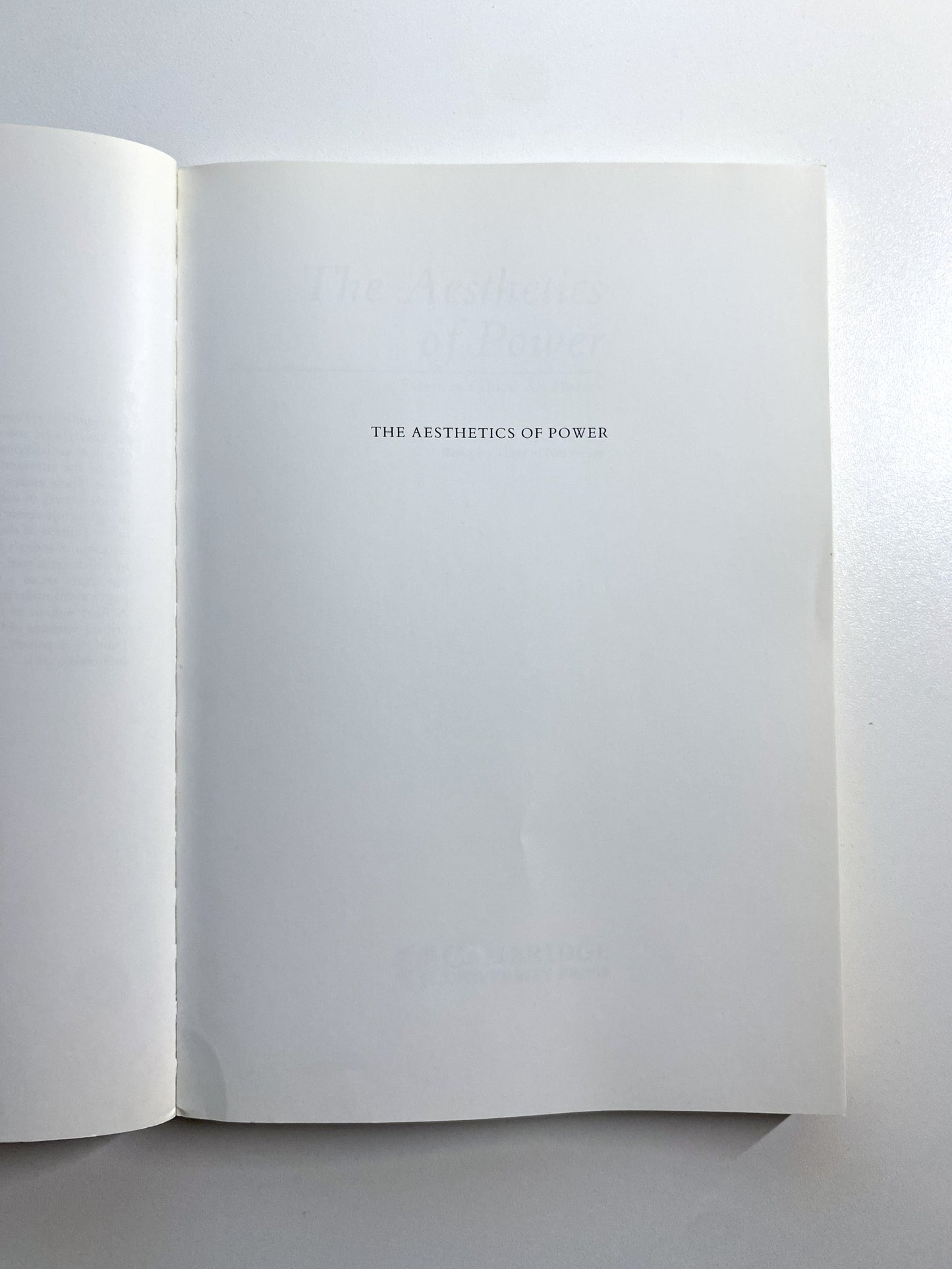 The Aesthetics of Power: Essays in Critical Art History